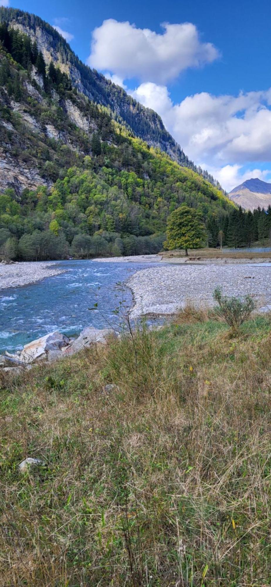 Casa Oliver, Tra La Calanca E I Castelli Di Bellinzona Grono Extérieur photo